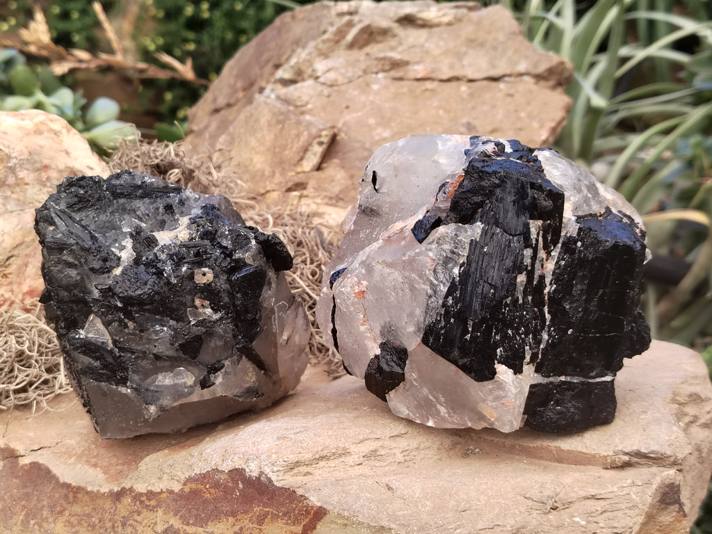 Natural Black Tourmaline On Quartz Matrix Specimens x 2 From Zimbabwe - Toprock Gemstones and Minerals 