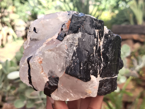 Natural Black Tourmaline On Quartz Matrix Specimens x 2 From Zimbabwe