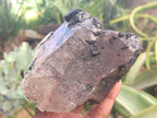 Natural Black Tourmaline On Quartz Matrix Specimens x 2 From Zimbabwe - Toprock Gemstones and Minerals 