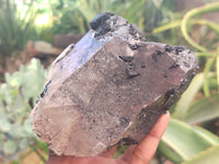 Natural Black Tourmaline On Quartz Matrix Specimens x 2 From Zimbabwe