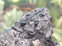 Natural Black Tourmaline On Quartz Matrix Specimens x 2 From Zimbabwe