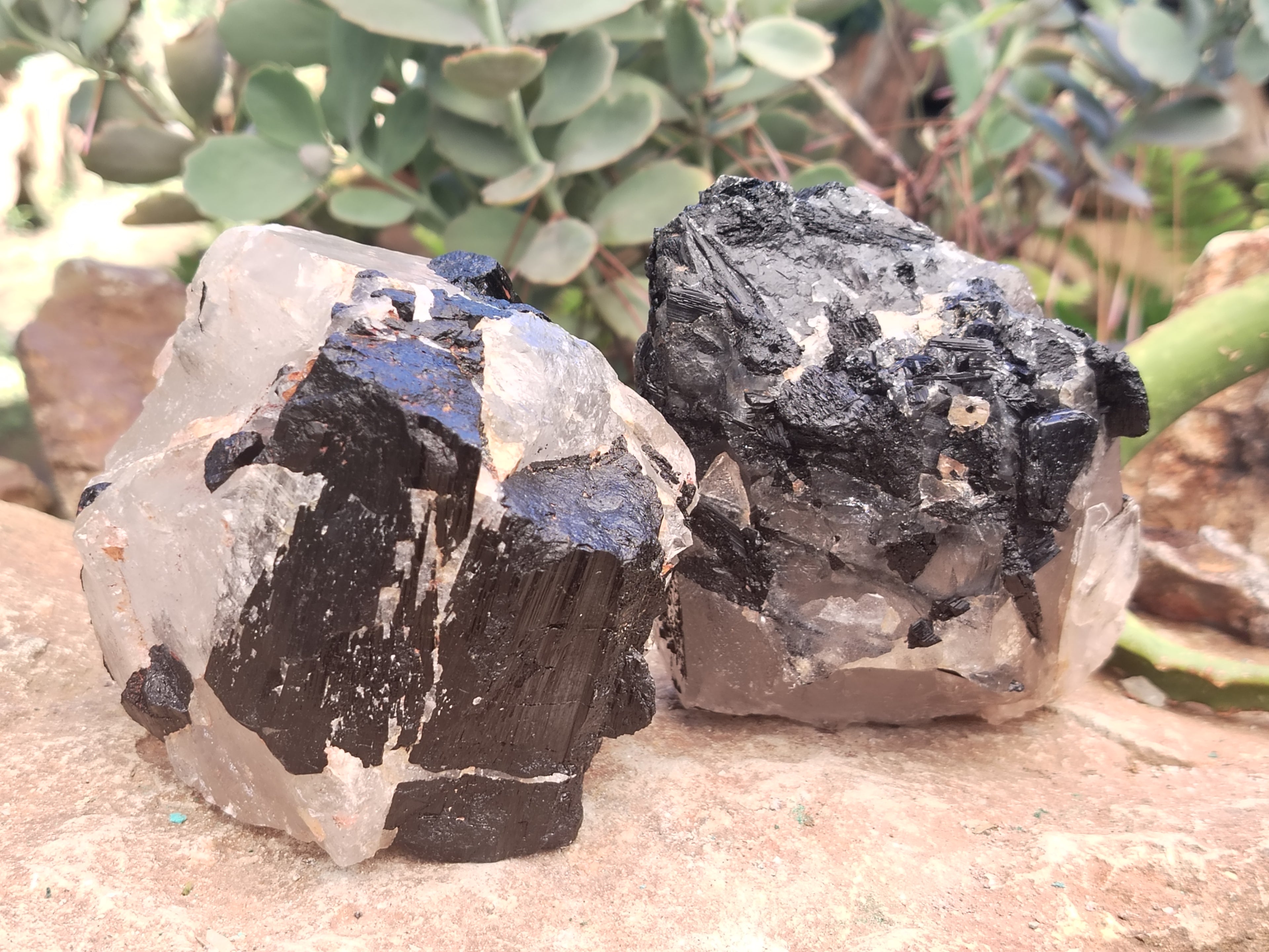 Natural Black Tourmaline On Quartz Matrix Specimens x 2 From Zimbabwe - Toprock Gemstones and Minerals 