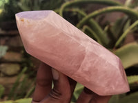 Polished Double Terminated Rose Quartz Points x 6 From Ambatondrazaka, Madagascar