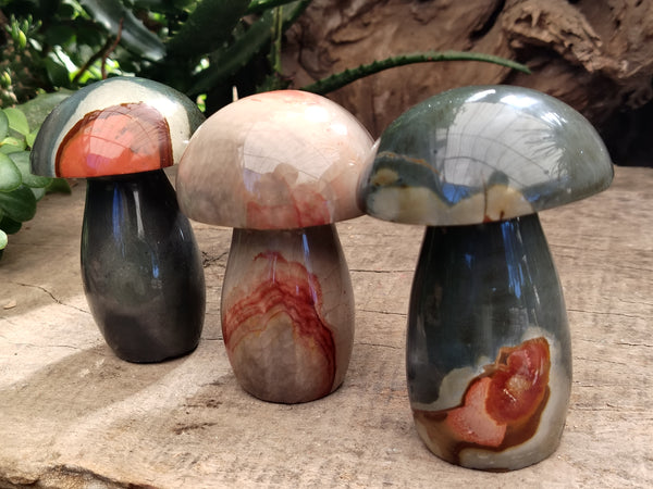 Polished Polychrome Jasper Mushrooms x 3 From Northwest Coast, Madagascar