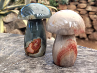 Polished Polychrome Jasper Mushrooms x 3 From Northwest Coast, Madagascar