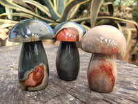 Polished Polychrome Jasper Mushrooms x 3 From Northwest Coast, Madagascar