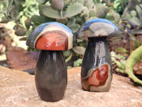 Polished Polychrome Jasper Mushrooms x 3 From Northwest Coast, Madagascar