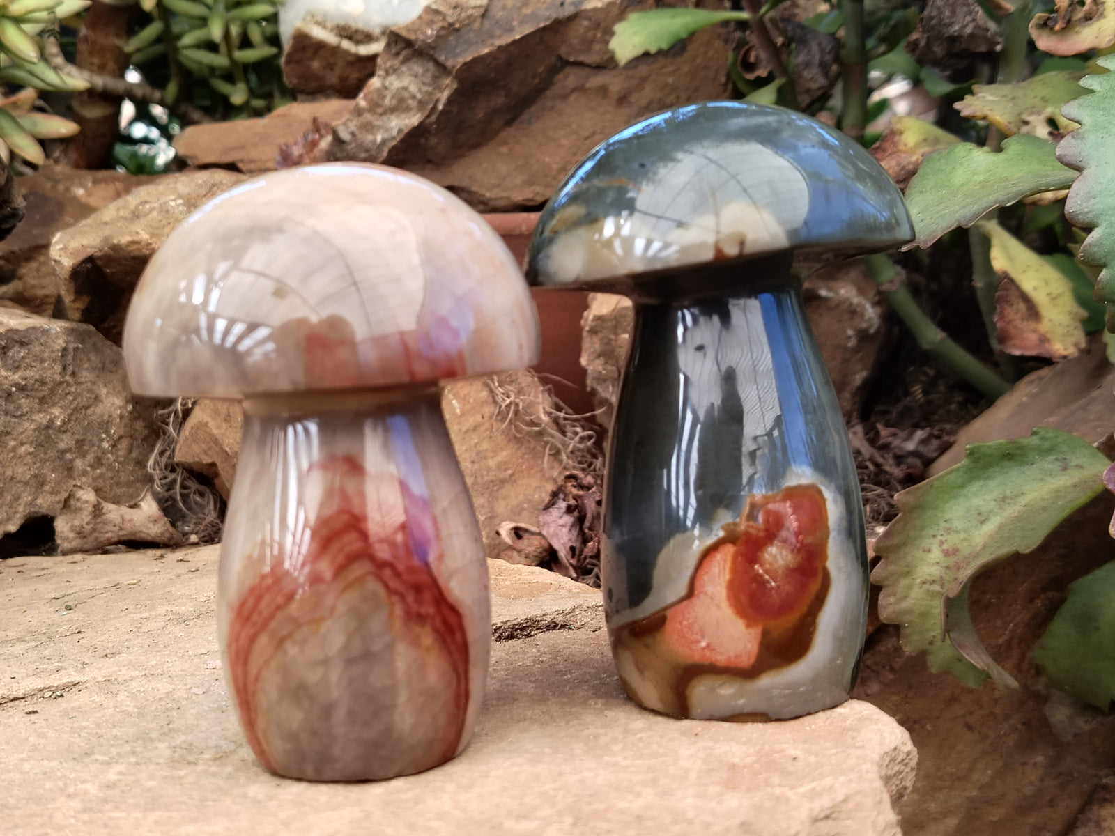 Polished Polychrome Jasper Mushrooms x 3 From Northwest