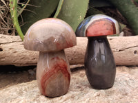 Polished Polychrome Jasper Mushrooms x 3 From Northwest Coast, Madagascar