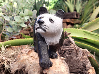 Polished Wonderstone Panda Carving x 1 From Zimbabwe