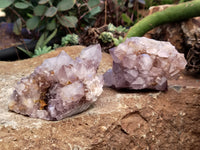 Natural Ametrine Spirit Quartz Clusters x 6 From Boekenhouthoek, South Africa