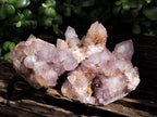 Natural Ametrine Spirit Quartz Clusters x 6 From Boekenhouthoek, South Africa - Toprock Gemstones and Minerals 