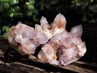 Natural Ametrine Spirit Quartz Clusters x 6 From Boekenhouthoek, South Africa