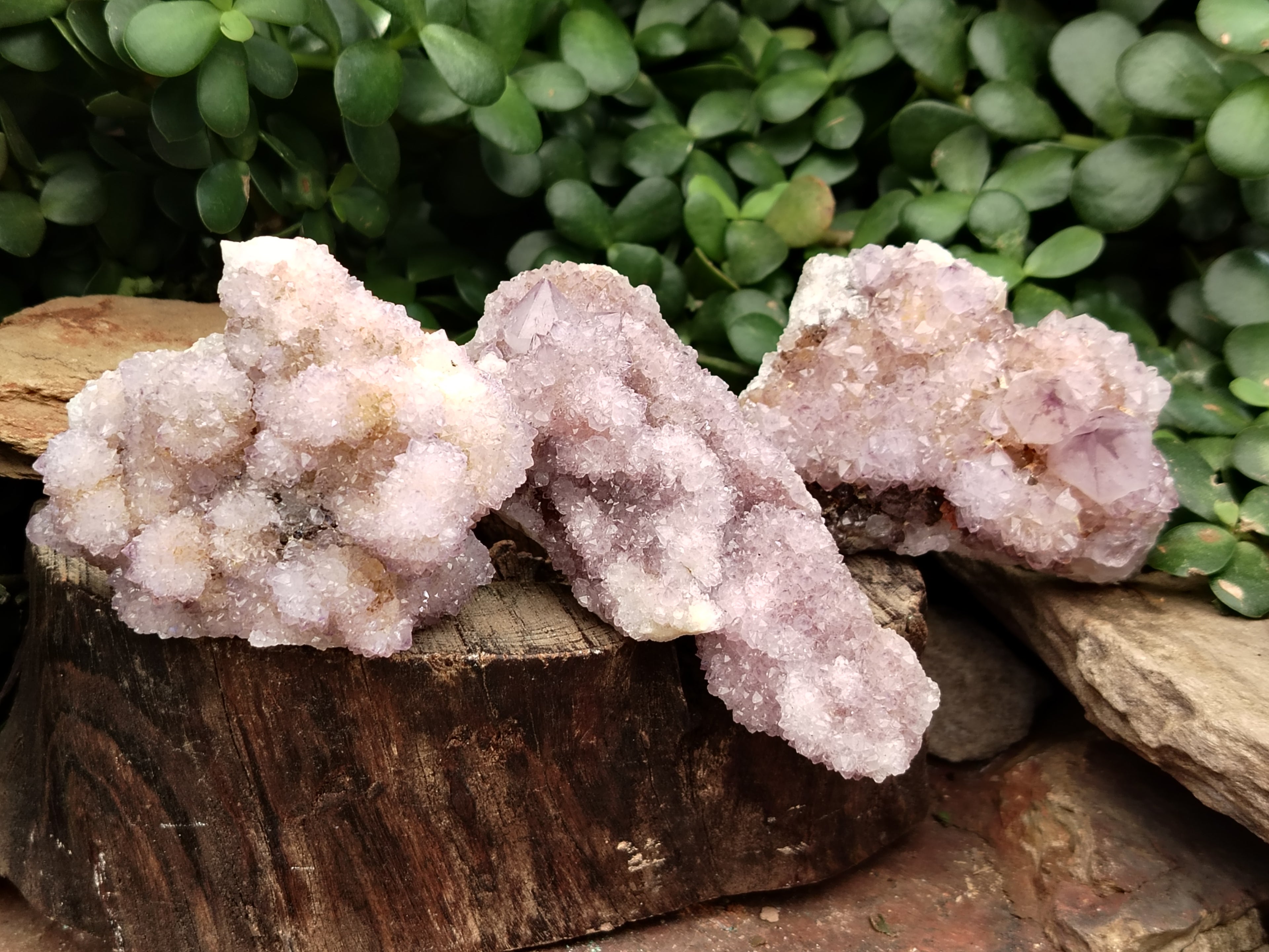Natural Ametrine Spirit Quartz Clusters x 6 From Boekenhouthoek, South Africa - Toprock Gemstones and Minerals 