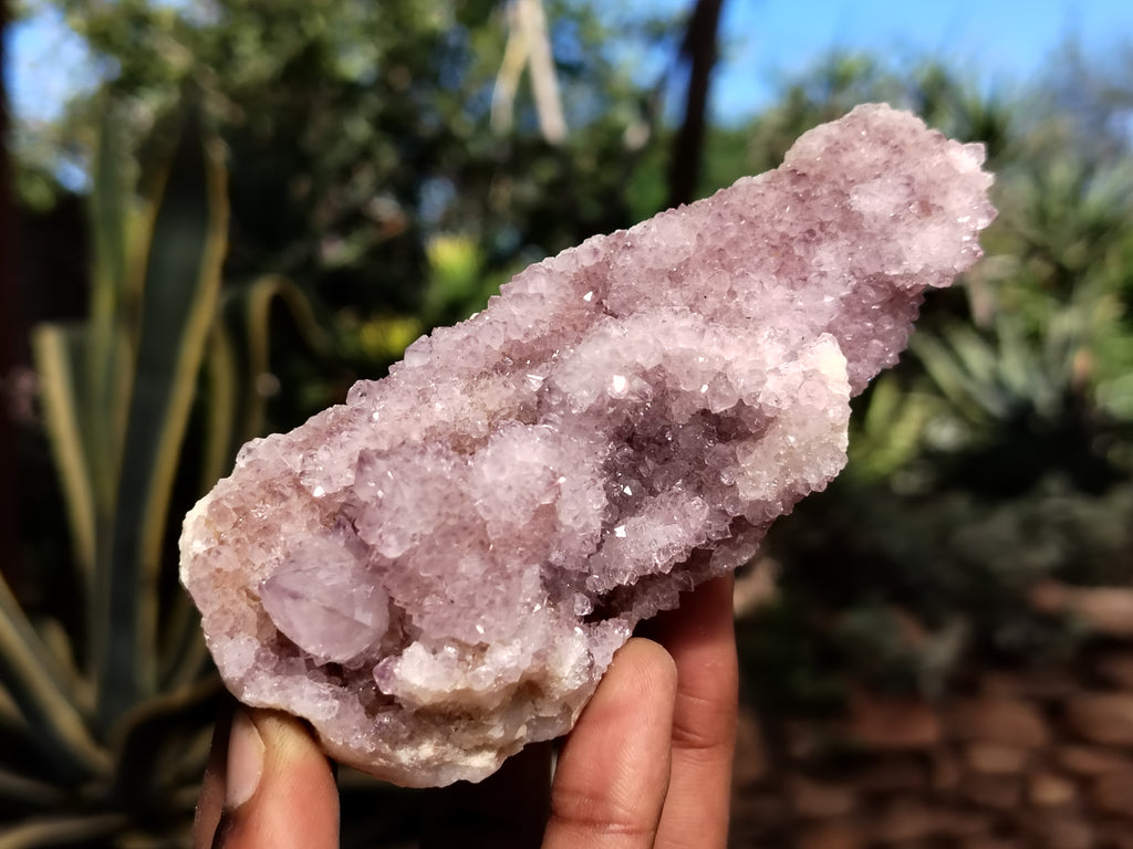 Natural Ametrine Spirit Quartz Clusters x 6 From Boekenhouthoek, South Africa - Toprock Gemstones and Minerals 