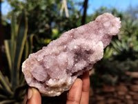 Natural Ametrine Spirit Quartz Clusters x 6 From Boekenhouthoek, South Africa