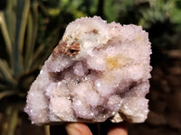 Natural Ametrine Spirit Quartz Clusters x 6 From Boekenhouthoek, South Africa