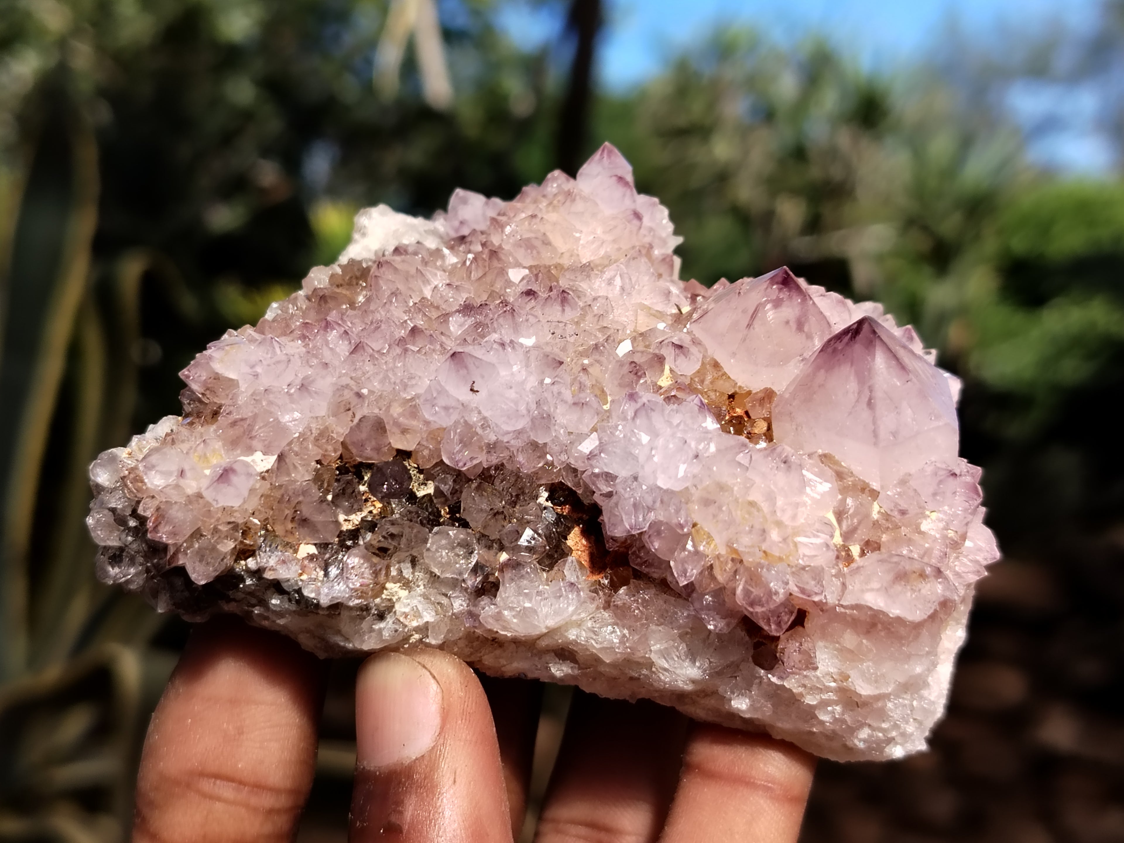 Natural Ametrine Spirit Quartz Clusters x 6 From Boekenhouthoek, South Africa - Toprock Gemstones and Minerals 