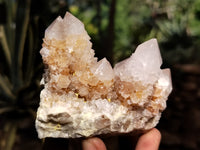 Natural Ametrine Spirit Quartz Clusters x 6 From Boekenhouthoek, South Africa