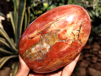 Polished Podocarpus Petrified Wood Standing Free Forms x 2 From Mahajanga, Madagascar - Toprock Gemstones and Minerals 