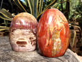 Polished Podocarpus Petrified Wood Standing Free Forms x 2 From Mahajanga, Madagascar - Toprock Gemstones and Minerals 