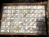 Natural Quartz Clusters x 70 From Madagascar