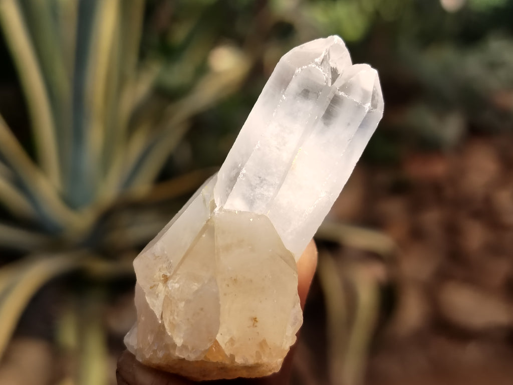 Natural Quartz Clusters x 70 From Madagascar - Toprock Gemstones and Minerals 