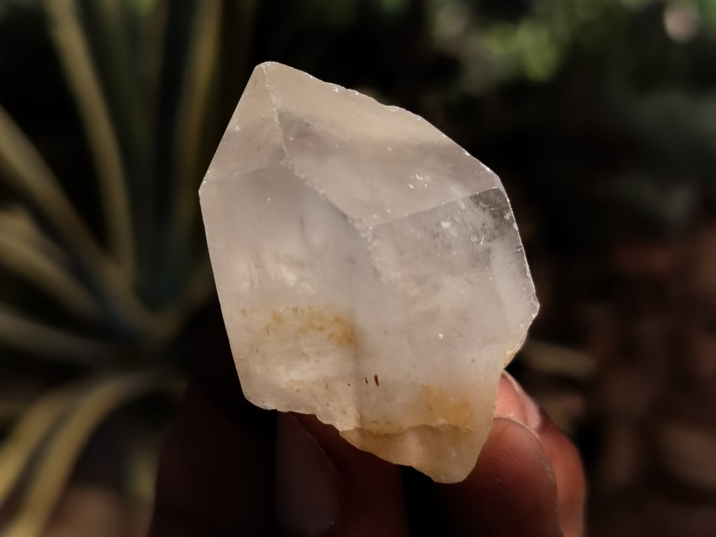 Natural Quartz Clusters x 70 From Madagascar - Toprock Gemstones and Minerals 