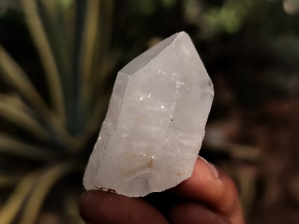 Natural Quartz Clusters x 70 From Madagascar - Toprock Gemstones and Minerals 