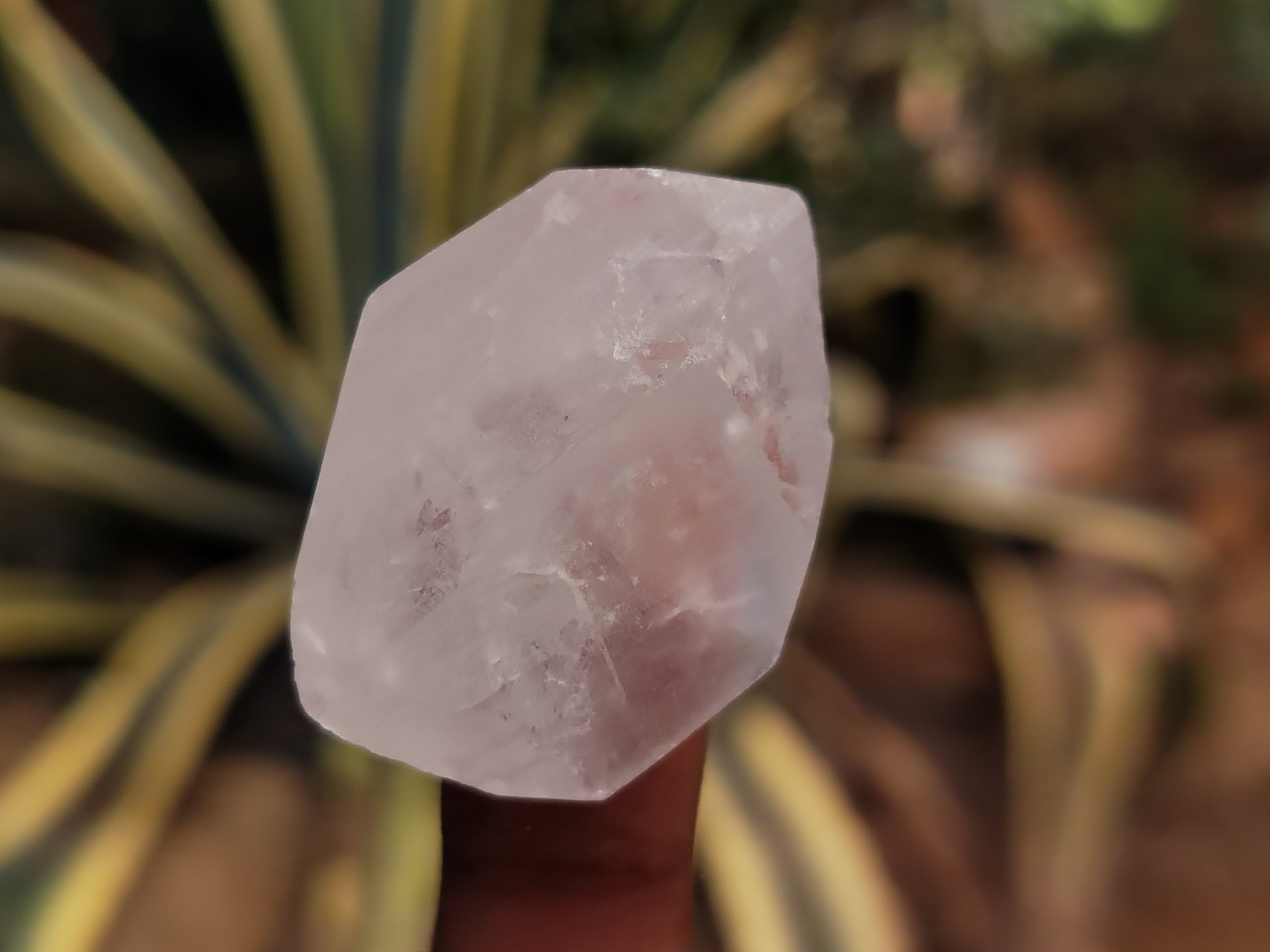 Natural Quartz Clusters x 70 From Madagascar - Toprock Gemstones and Minerals 
