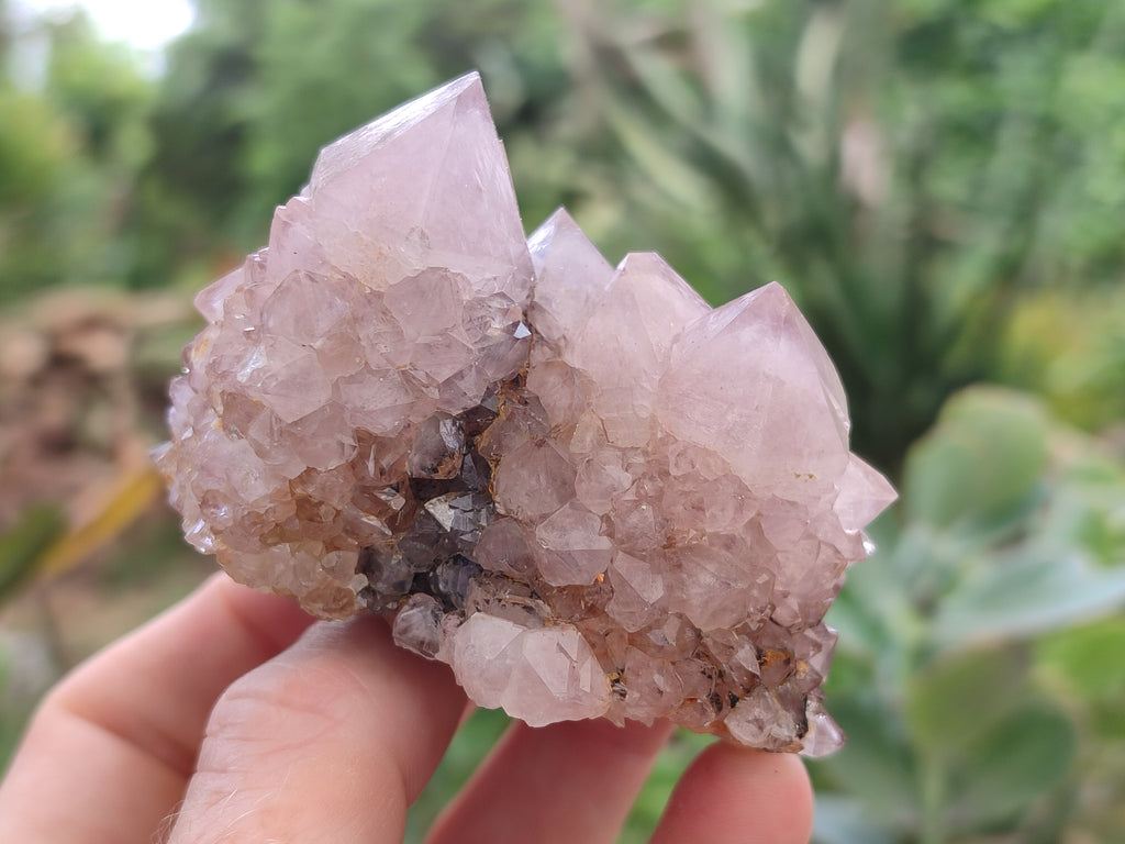 Natural Amethyst Spirit Quartz Clusters x 12 From Boekenhouthoek, South Africa - Toprock Gemstones and Minerals 
