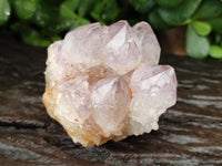 Natural Amethyst Spirit Quartz Clusters x 12 From Boekenhouthoek, South Africa