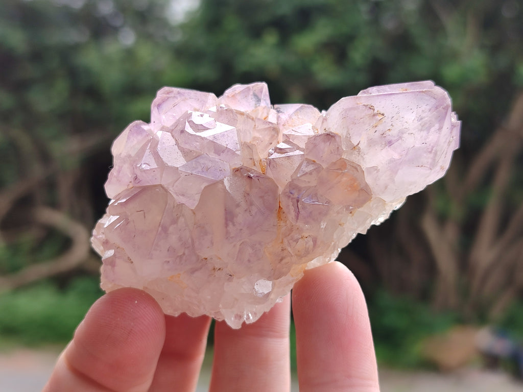 Natural Amethyst Spirit Quartz Clusters x 12 From Boekenhouthoek, South Africa - Toprock Gemstones and Minerals 
