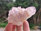 Natural Amethyst Spirit Quartz Clusters x 12 From Boekenhouthoek, South Africa - Toprock Gemstones and Minerals 
