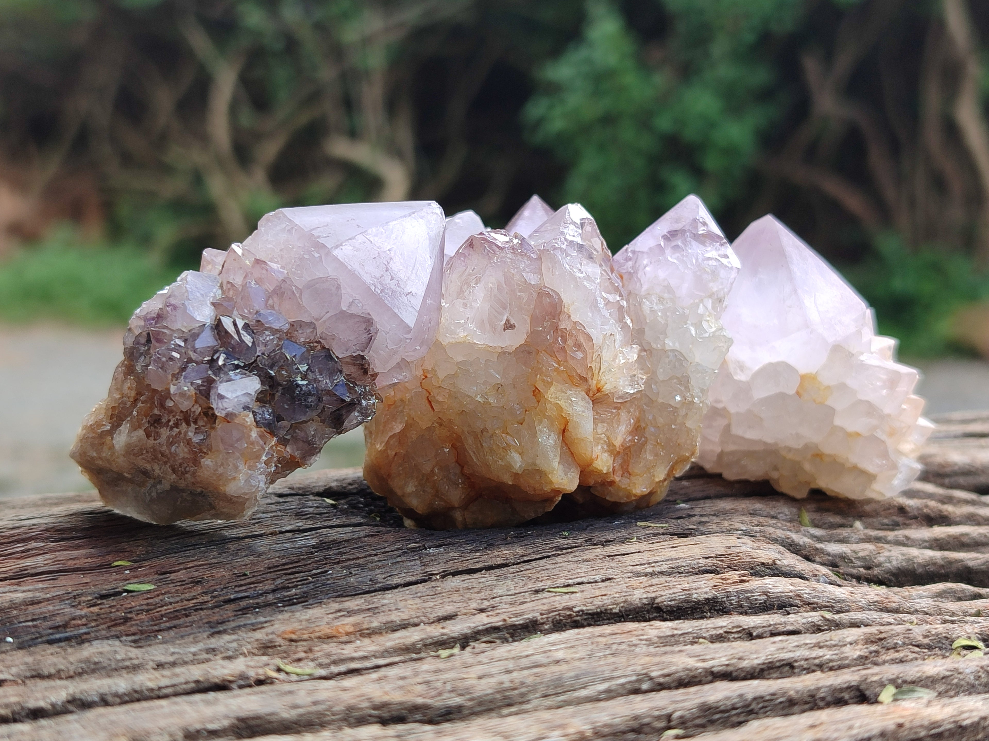 Natural Amethyst Spirit Quartz Clusters x 12 From Boekenhouthoek, South Africa - Toprock Gemstones and Minerals 