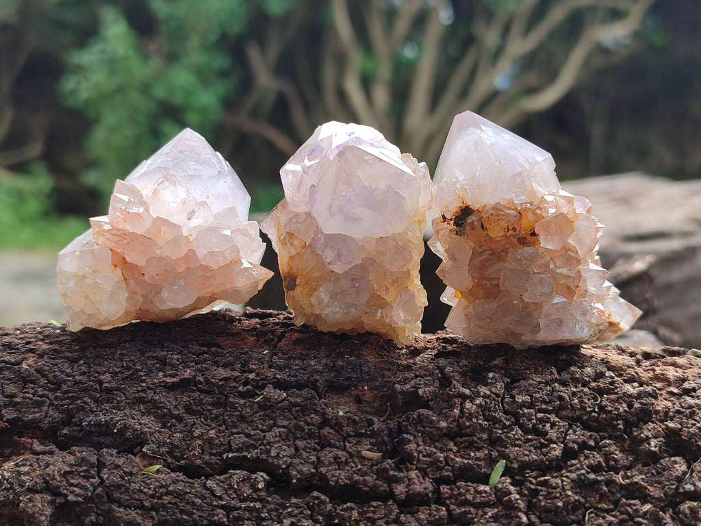 Natural Amethyst Spirit Quartz Clusters x 12 From Boekenhouthoek, South Africa - Toprock Gemstones and Minerals 