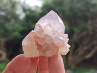Natural Amethyst Spirit Quartz Clusters x 12 From Boekenhouthoek, South Africa