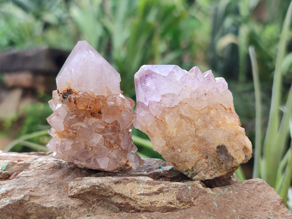Natural Amethyst Spirit Quartz Clusters x 12 From Boekenhouthoek, South Africa - Toprock Gemstones and Minerals 