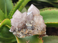 Natural Amethyst Spirit Quartz Clusters x 12 From Boekenhouthoek, South Africa