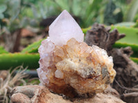 Natural Amethyst Spirit Quartz Clusters x 12 From Boekenhouthoek, South Africa