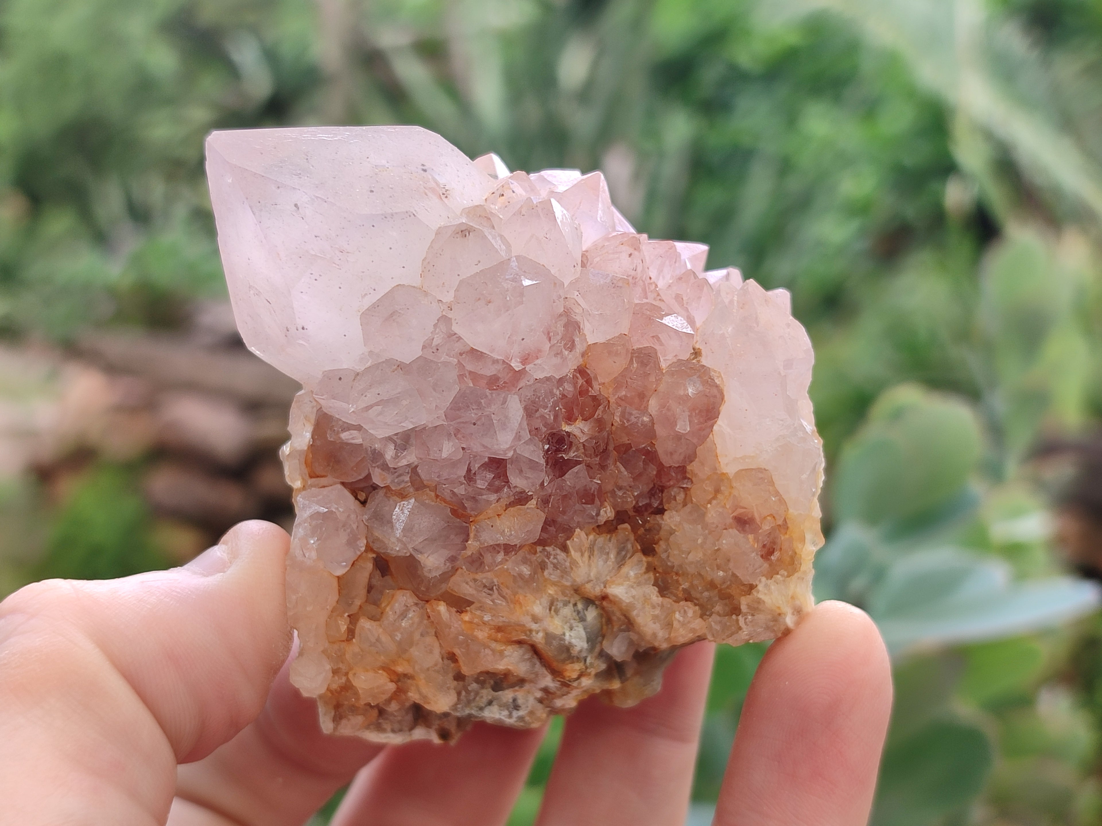 Natural Amethyst Spirit Quartz Clusters x 12 From Boekenhouthoek, South Africa - Toprock Gemstones and Minerals 