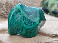 Polished Flower Banded Malachite Free Forms x 6 From Congo