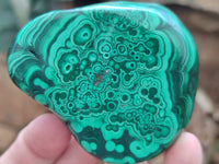 Polished Flower Banded Malachite Free Forms x 6 From Congo
