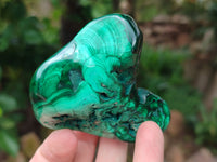 Polished Flower Banded Malachite Free Forms x 6 From Congo