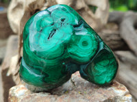 Polished Flower Banded Malachite Free Forms x 6 From Congo