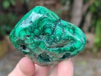 Polished Flower Banded Malachite Free Forms x 6 From Congo