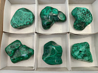 Polished Flower Banded Malachite Free Forms x 6 From Congo