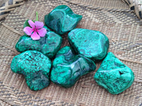 Polished Flower Banded Malachite Free Forms x 6 From Congo