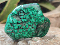 Polished Flower Banded Malachite Free Forms x 6 From Congo