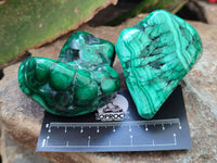 Polished Flower Banded Malachite Free Forms x 6 From Congo